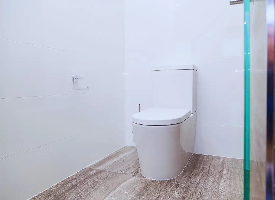 Remplacement de wc Fabrègues